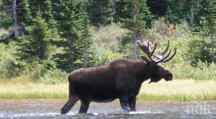 лос уби двама литва