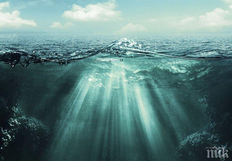 Учени с шокиращо разкритие! Глобалното затопляне превръща океаните в мъртви зони 