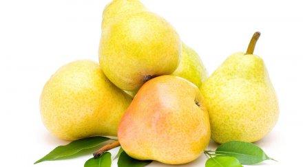 откритие яжте круши здраве