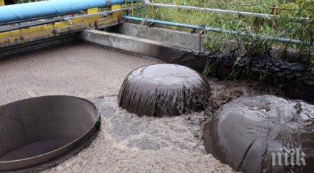 сладка поръчка бизнесът пловдив влезе битка милиона