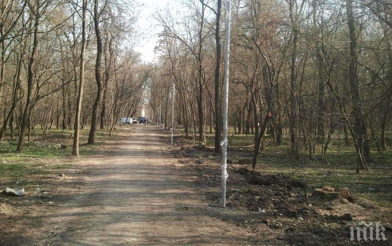 Извратеняк! Ексхибиционист плаши дами в пловдивския парк Лаута (СНИМКА)