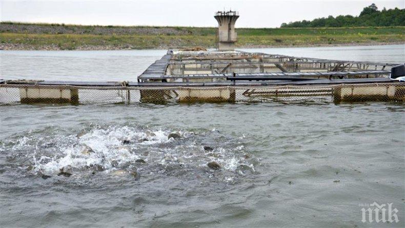 Прелива язовир Мандра край Бургас, наводнени са земеделски земи