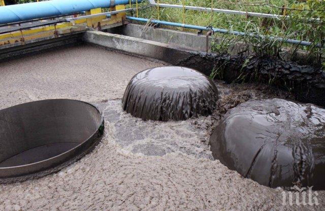 СЛАДКА ПОРЪЧКА! Бизнесът в Пловдив влезе в битка за 59 милиона