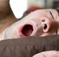 1/3 от живота си прекарваме в сън