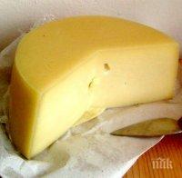 Агенцията по храните засече немлечни мазнини в сирене и кашкавал 