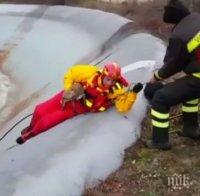 Пожарникари в Италия спасиха лисица от леден капан