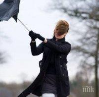 Ураганен вятър удари Ловеч