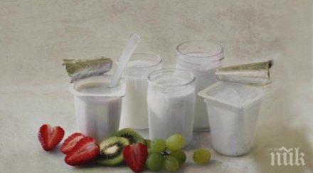 сензационно нов вид полезна бактерия кисело мляко откриха нас
