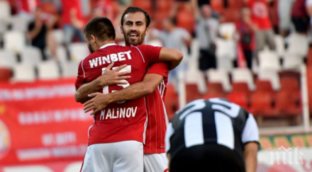 любимец сектор закани сините