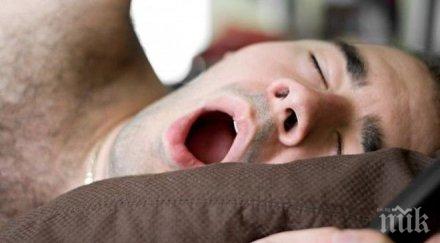 живота прекарваме сън