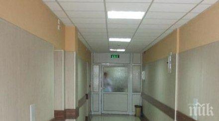 ужасяващо баба берковица бере душа нападение бездомни кучета