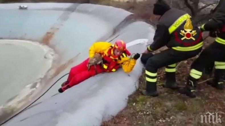 Пожарникари в Италия спасиха лисица от леден капан