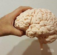 Учени смятат, че мозъкът на възрастните хора е неспособен да се развива