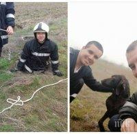 БЛАГОРОДНО! Пожарникари спасиха куче, паднало в шахта