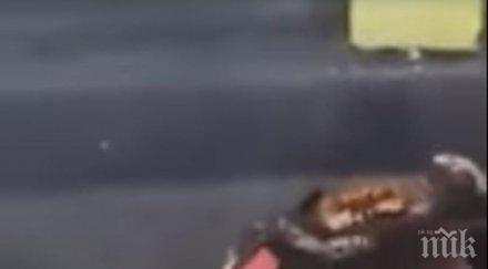 екшън кухнята рак нападна готвач нож видео