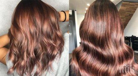 добри новини брюнетките топ цвета косата