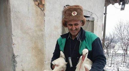 историята един спасител щъркели голямо сърце