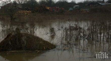 спасители готовност наводнения мизия бяла слатина