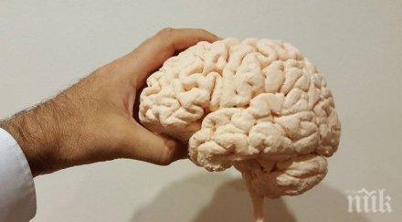 учени смятат мозъкът възрастните хора неспособен развива