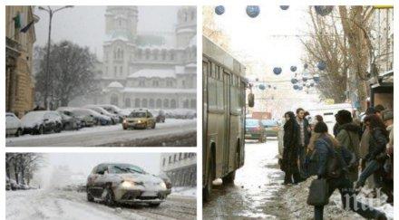 извънредно пик софия снежен капан общината почиства улиците 100 снегорина тапите отпушват обновена