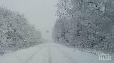 актуална пътна обстановка