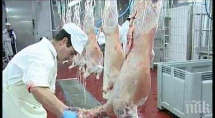 агнешкото великден евтино фермата скъпо магазина