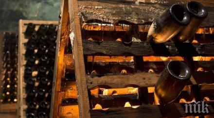 продават винарна враца 100 000 лева