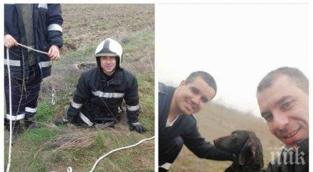 благородно пожарникари спасиха куче паднало шахта
