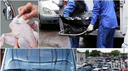 българия война трети сме смъртност доклад цру мрем мухи храним боклуци превърнахме клоаката европа