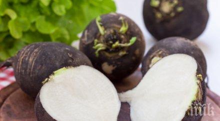 полезна черната ряпа