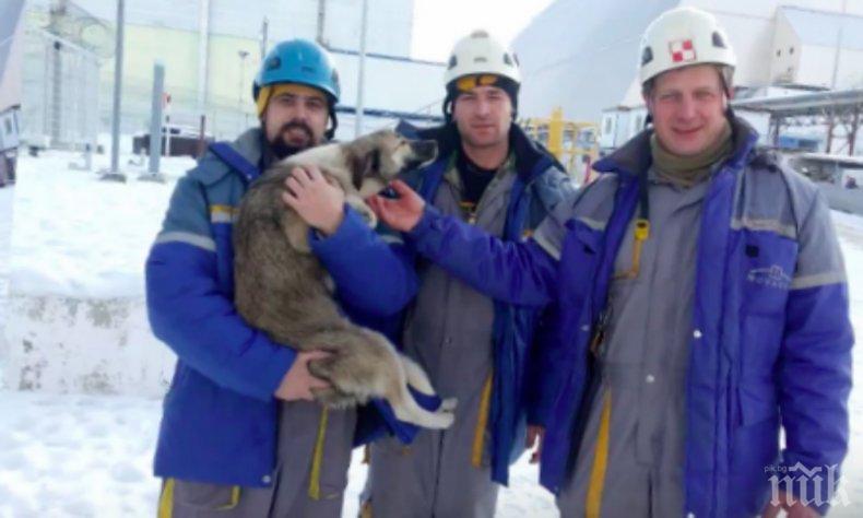 ЩЕ ВИ ТРОГНЕ ДО СЪЛЗИ! Работници влязоха в чернобилския саркофаг, за да спасят куче! (ВИДЕО)