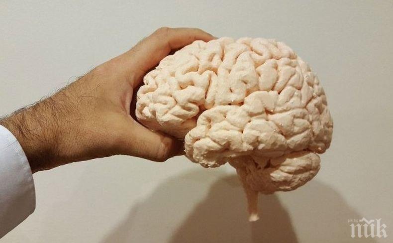 Учени смятат, че мозъкът на възрастните хора е неспособен да се развива