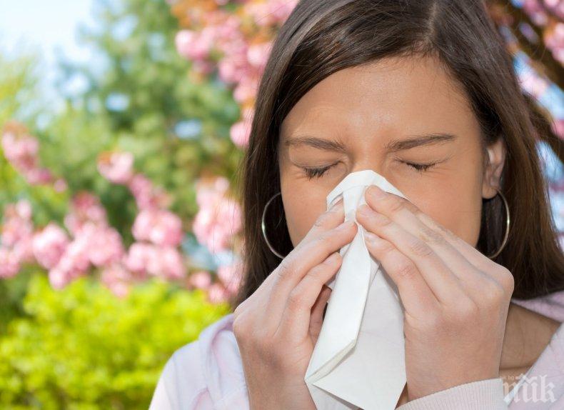 Пролетните алергии започват - как да се предпазим?