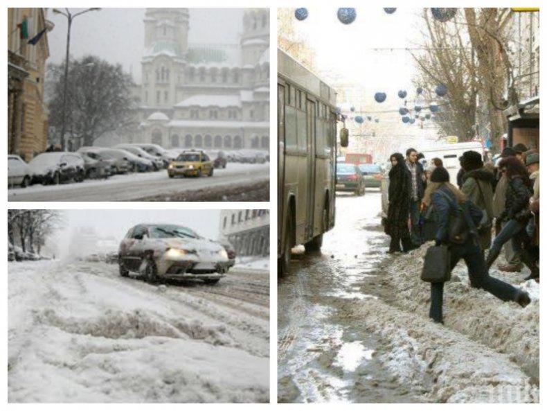 ИЗВЪНРЕДНО В ПИК TV! София в снежен капан - общината почиства улиците с над 100 снегорина, тапите се отпушват (ОБНОВЕНА)