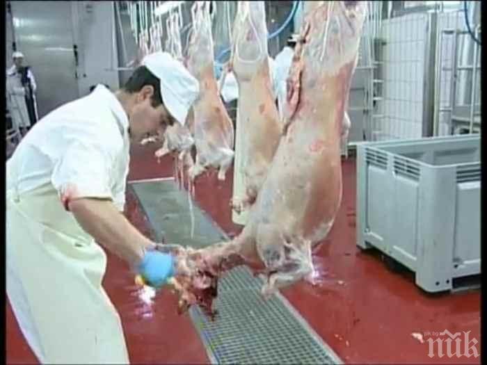 Агнешкото преди Великден - евтино от фермата, скъпо в магазина