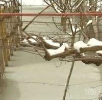 Бедствие! Преля река Русенски Лом