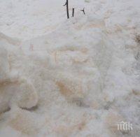 Ето как Сахара оцвети снега в Разград (СНИМКИ)