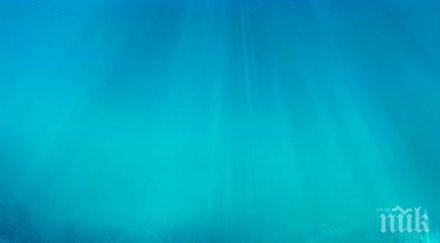 уникално учени откриха зона здрача океана