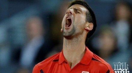 кошмар джокович маями