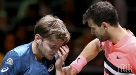 катастрофално завръщане давид гофен