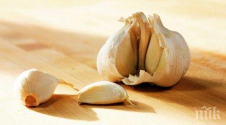 хванаха отровен чесън