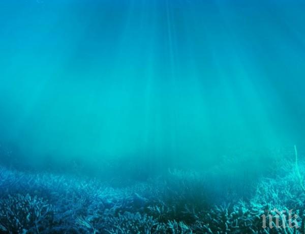 УНИКАЛНО! Учени откриха зона на здрача в океана
