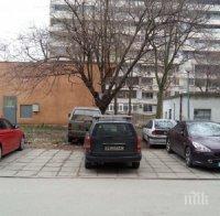 НАПРЕЖЕНИЕ! Топ адвокати бранят от строеж пловдивска градинка