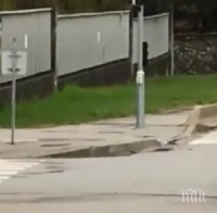 ОТ ПОСЛЕДНИТЕ МИНУТИ! Арестуваха атентатора, който се вряза с кола във френски военни 