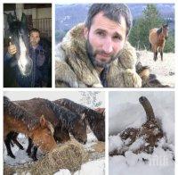 МОРАЛ НА КАНТАР! Разпитаха собственика на умрелите коне! Петър Пищалов излезе усмихнат и... без обвинение