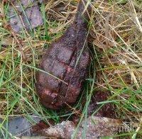 Шок в Карабунар: Металотърсач попадна на 