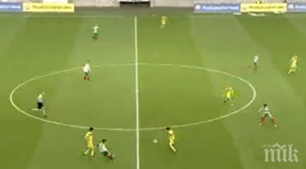 извънредно радваме плачем лъвовете драматична победа обновена