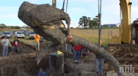 находка деца откриха челюст мастодонт време разходка