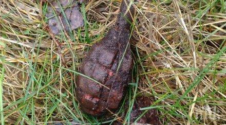 шок карабунар металотърсач попадна лимонка