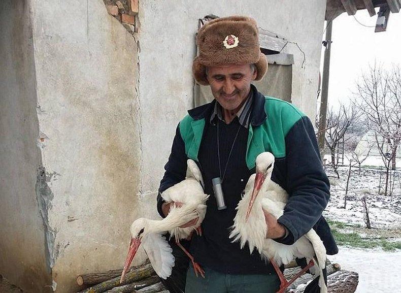 ВАЖНО! Към кого да се обърнем, ако попаднем на диво животно в градска среда?